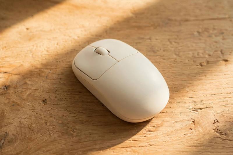 mouse
