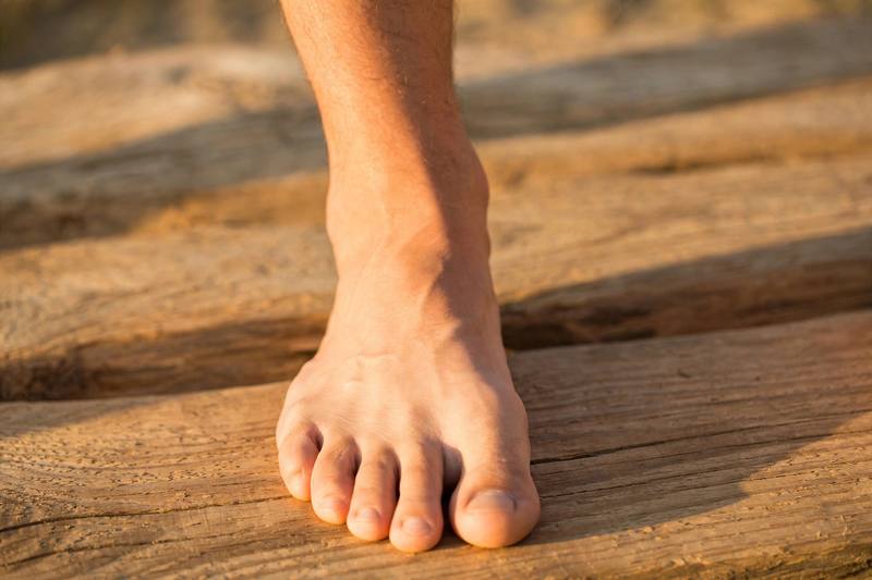 foot