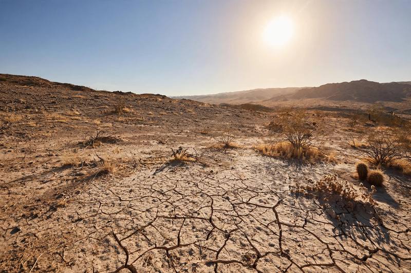 climate